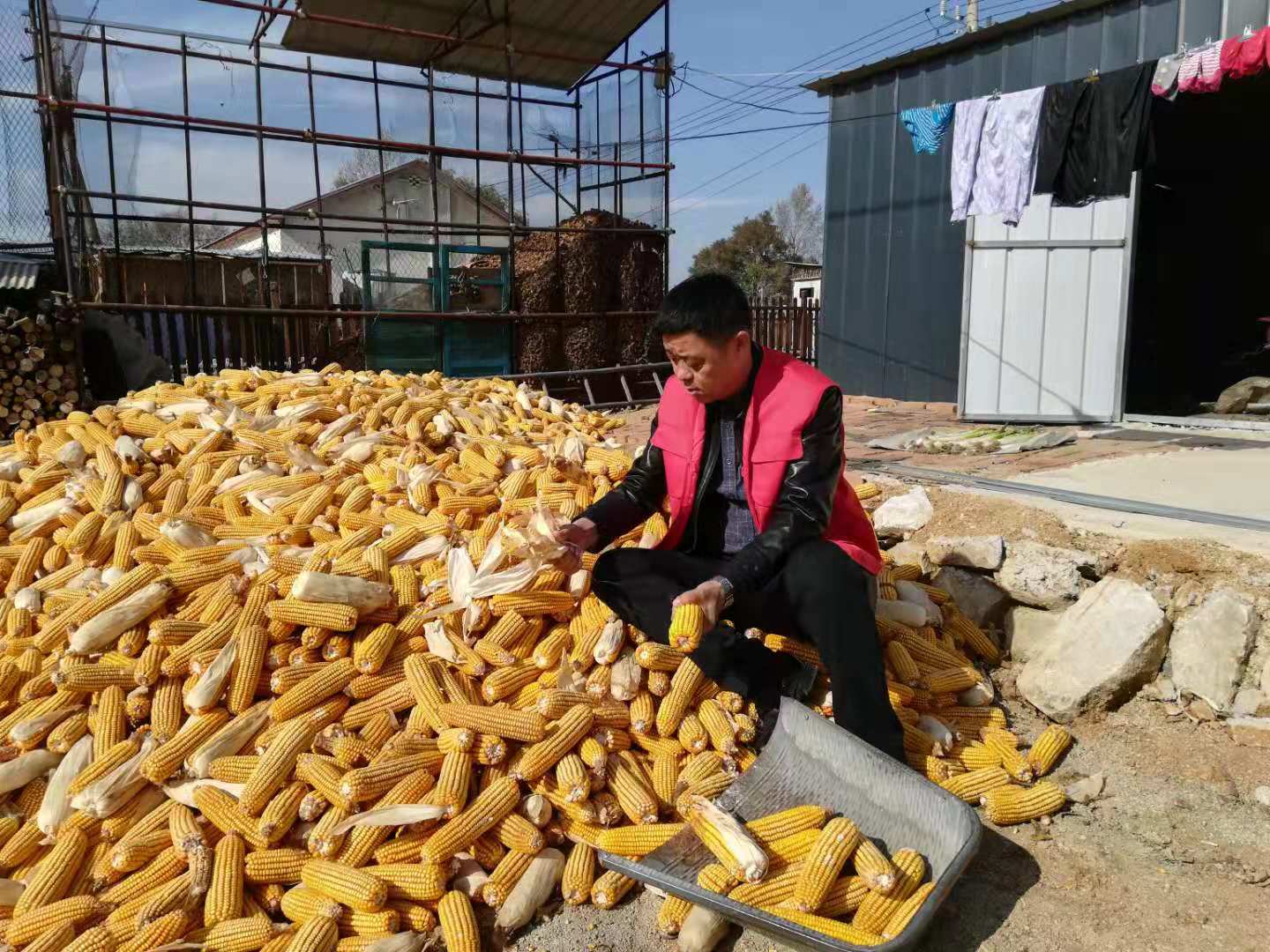 QQ图片20191018142002
